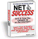 Net Success